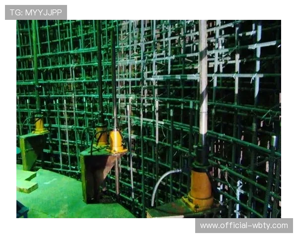 万博app官方下载3.0:用户评价与反馈助你选择最适合的版本